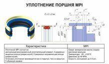 80х60х22,4 Уплотнение поршня MPI-806022