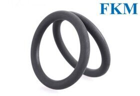 FKM 053,00х3,55 (053,0-060,1-3,55) Кольцо рез.