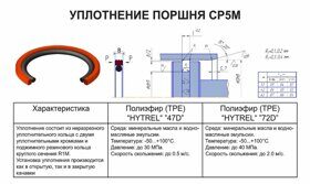 110х99х4,2 Уплотнение поршня в сб. СР5М-110/TPE (47D) (И104сб)